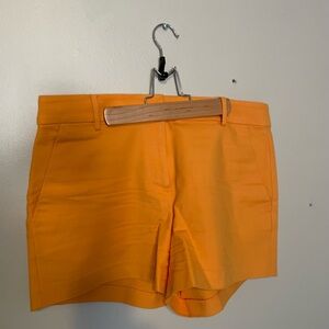 LOFT High Waist Tangerine Women's Riviera Shorts, 6
